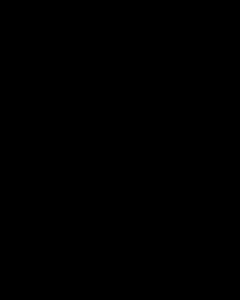 Черен Трюфел Гланц GL-015 IS